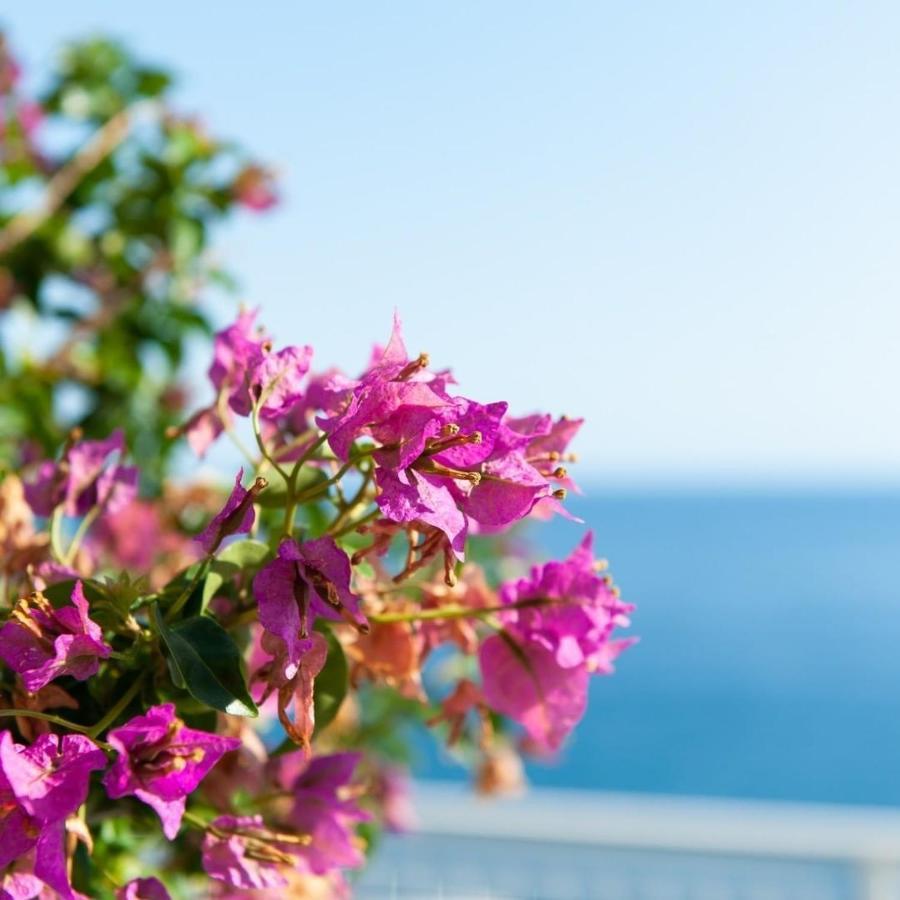 Made In Sicily Santa Tecla Bed & Breakfast Acireale Exterior foto